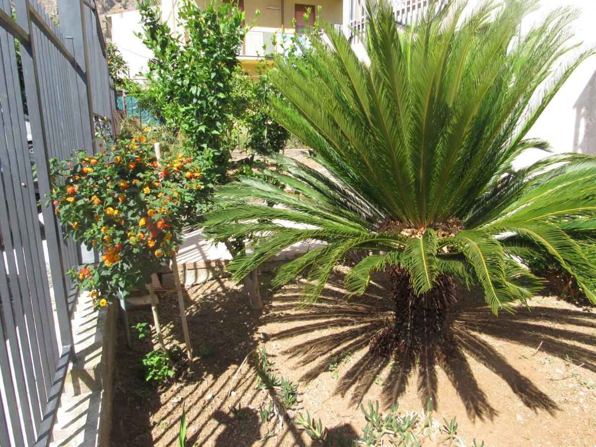 La Cycas Trabia Exterior foto